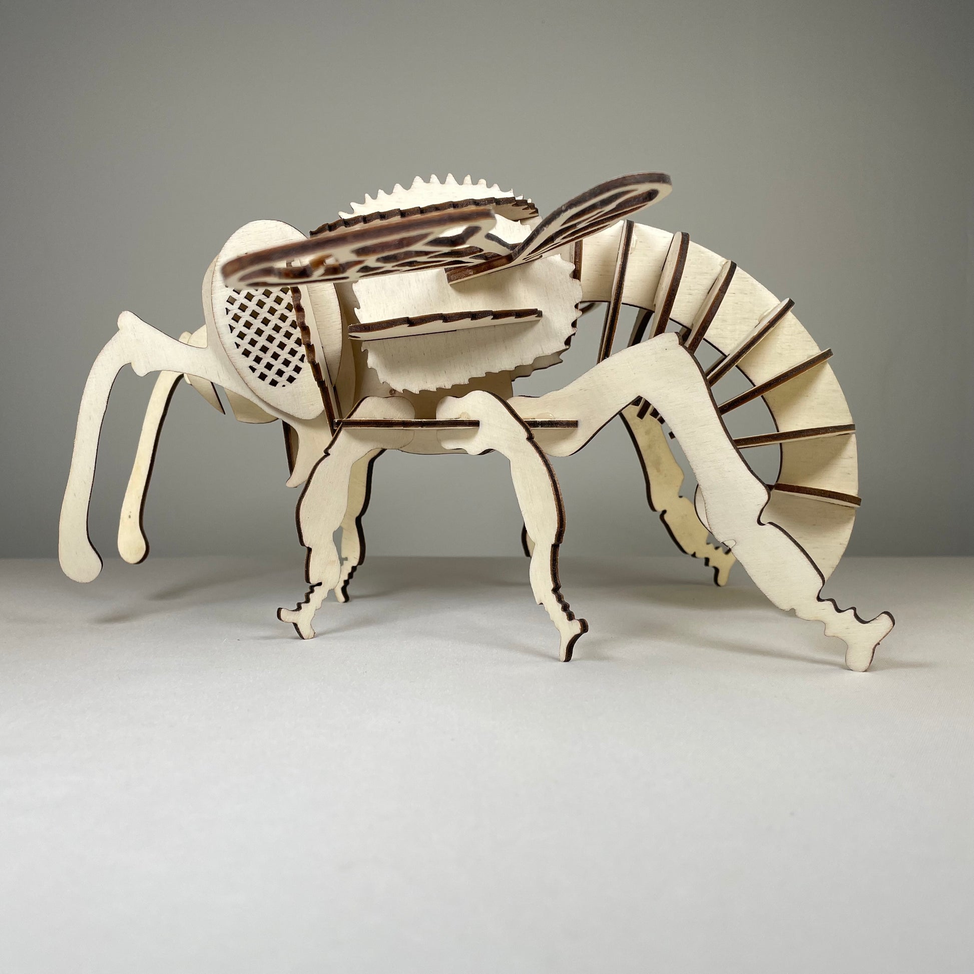 Bee Puzzle - Flat Pack Model Kit by Curious Rabbit ® - Curious Rabbit