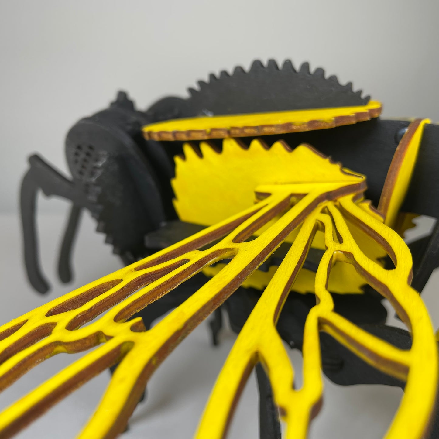 Bee Puzzle - Flat Pack Model Kit by Curious Rabbit ® - Curious Rabbit