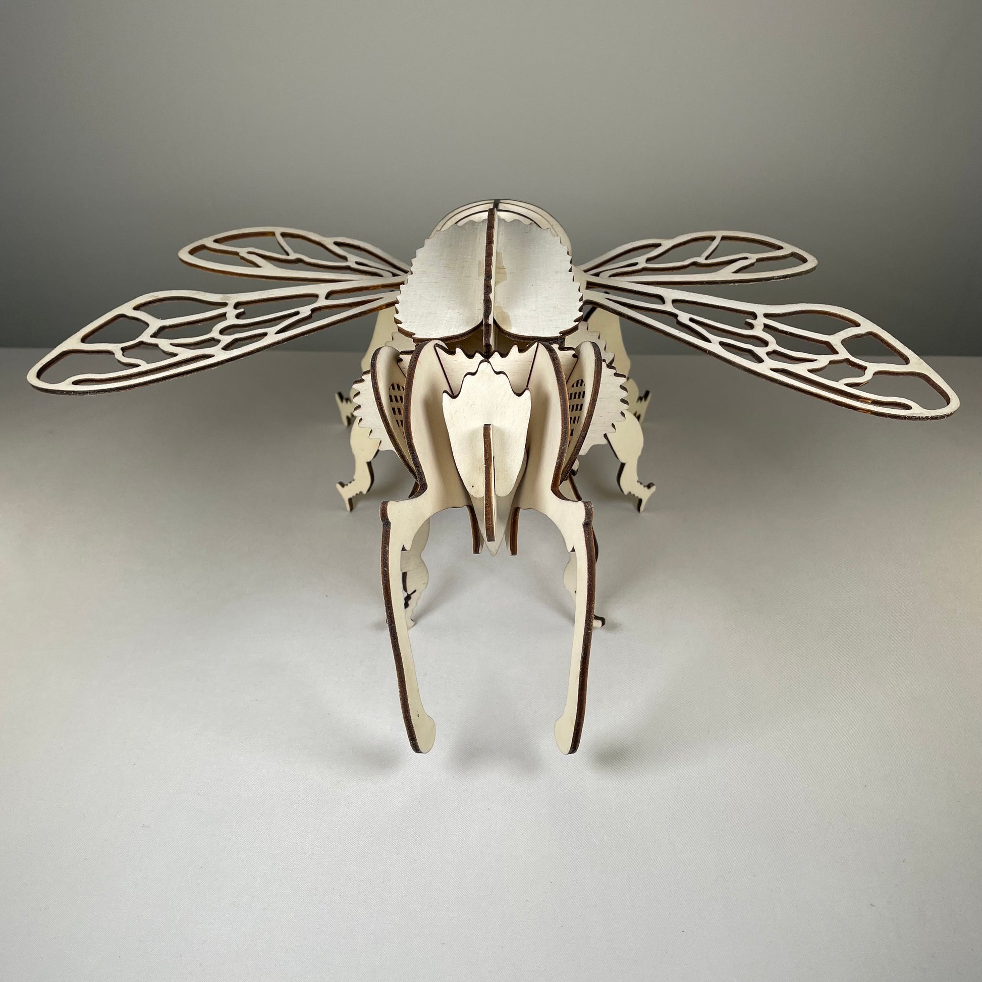 Bee Puzzle - Flat Pack Model Kit by Curious Rabbit ® - Curious Rabbit