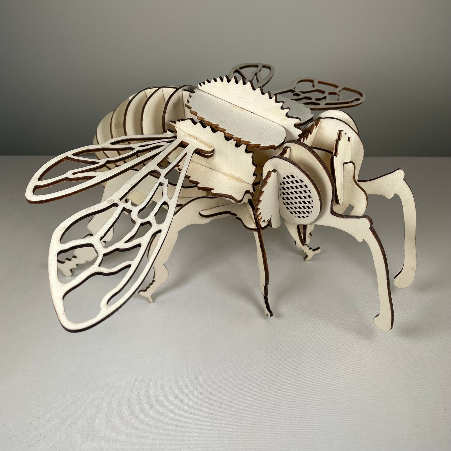 Bee Puzzle - Flat Pack Model Kit by Curious Rabbit ® - Curious Rabbit