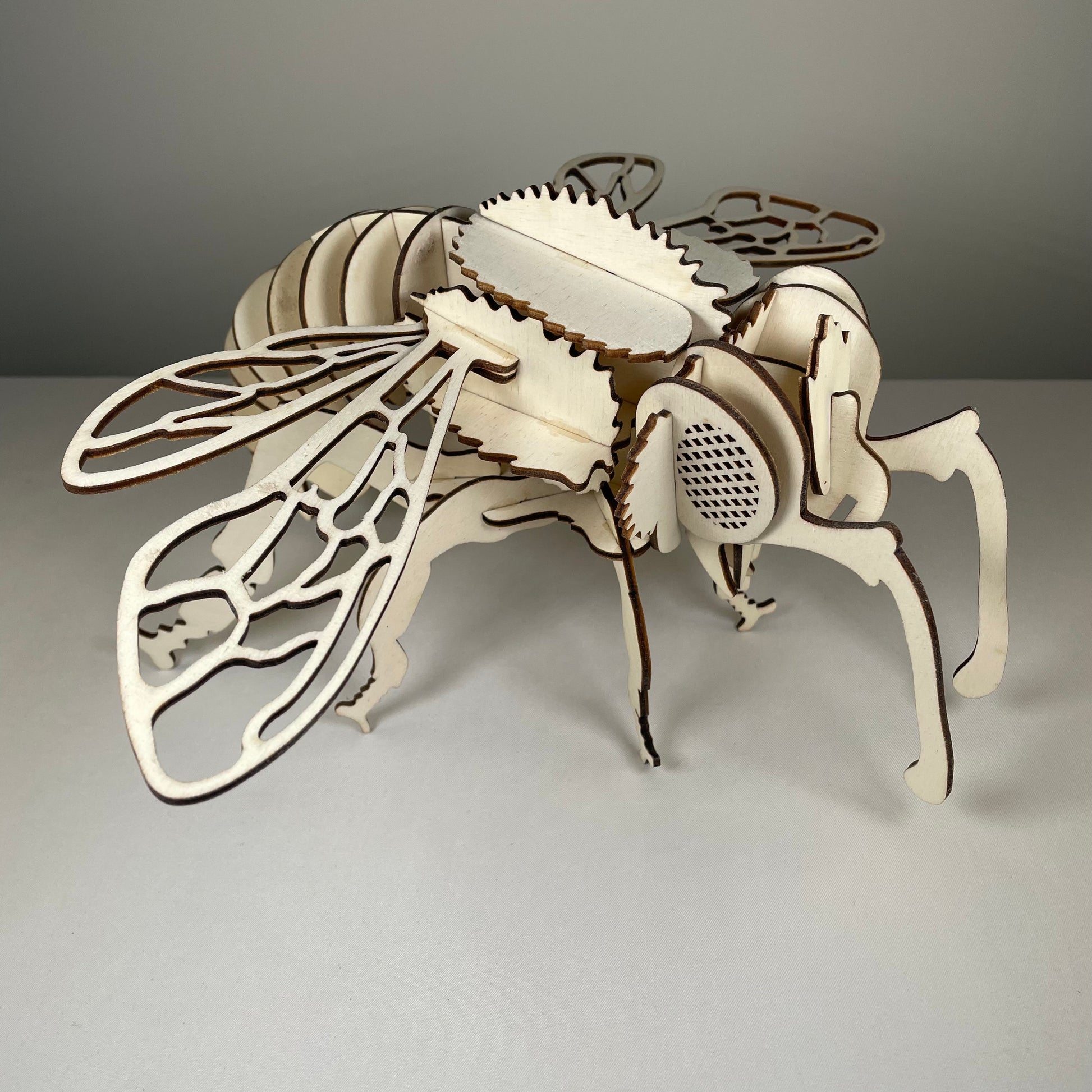 Bee Puzzle - Flat Pack Model Kit by Curious Rabbit ® - Curious Rabbit